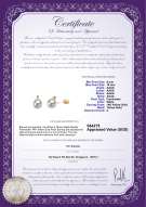 Product certificate: FW-W-AAAA-910-E-Eternity-YG-L
