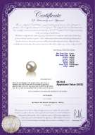 Product certificate: FW-W-AAAA-910-L1