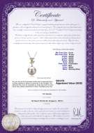 Product certificate: FW-W-AAAA-910-P-Belva