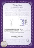 Product certificate: FW-W-AAAA-910-P-Courtney