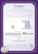 Product certificate: FW-W-AAAA-910-P-Eternity