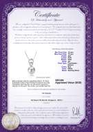 Product certificate: FW-W-EDS-1213-P-Marlo