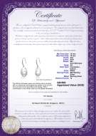 Product certificate: FW-W-EDS-1516-Baroque-E