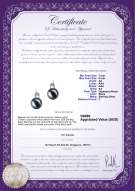 Product certificate: JAK-B-AA-78-E-Melissa