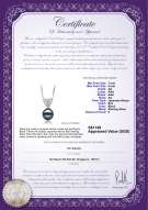 Product certificate: JAK-B-AA-78-P-Randy