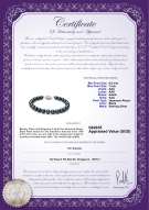 Product certificate: JAK-B-AAA-657-B