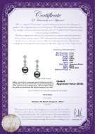 Product certificate: JAK-B-AAA-89-E-Rozene