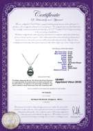 Product certificate: JAK-B-AAA-89-P-Vivian