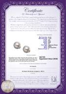 Product certificate: JAK-W-AA-67-E-Jocelyn