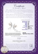 Product certificate: JAK-W-AA-67-E-Rosie