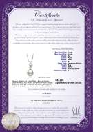 Product certificate: JAK-W-AA-78-P-Zalina