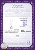 Product certificate: JAK-W-AA-89-P-Naomi