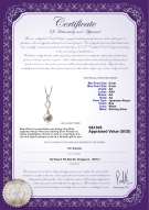 Product certificate: JAK-W-AA-89-P-Pennie
