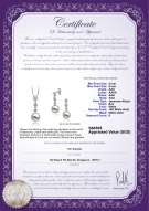 Product certificate: JAK-W-AAA-89-S-Rozene