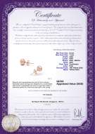 Product certificate: P-67-E