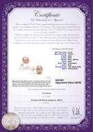 Product certificate: P-910-E