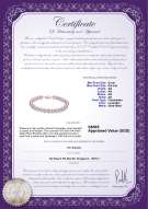 Product certificate: P-AA-67-B-OLAV