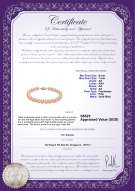 Product certificate: P-AA-67-B