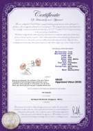 Product certificate: P-AA-78-E