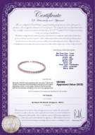 Product certificate: P-AA-78-N-OLAV