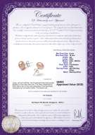 Product certificate: P-AA-910-E-SS