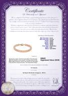 Product certificate: P-AAAA-67-B