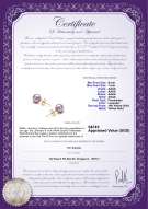 Product certificate: P-AAAA-67-E-OLAV