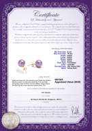 Product certificate: P-AAAA-910-E-OLAV