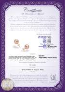 Product certificate: P-AAAA-910-E