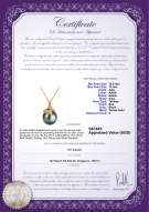 Product certificate: SALT-PEND-4205