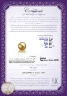 Product certificate: SS-G-AAA-1011-L1