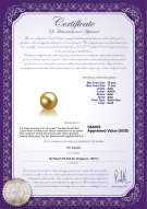 Product certificate: SS-G-AAA-1011-L1