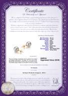 Product certificate: SS-W-AAA-1011-E