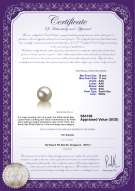 Product certificate: SSEA-W-AAA-1011-L1