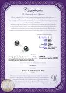 Product certificate: TAH-1011-E