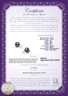 Product certificate: TAH-B-AA-1011-E