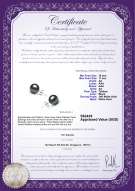 Product certificate: TAH-B-AA-1011-E