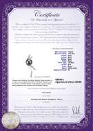 Product certificate: TAH-B-AAA-1011-P-Florence