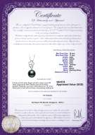 Product certificate: TAH-B-AAA-1011-P-Hilary