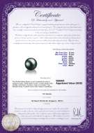 Product certificate: TAH-B-AAA-1213-L1