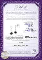 Product certificate: TAH-B-AAA-89-E-Tamara