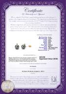 Product certificate: TAH-B-AAA-910-E-Eternity-YG-L