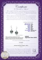 Product certificate: TAH-B-AAA-910-E-Mystical