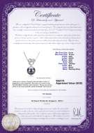 Product certificate: TAH-B-AAA-910-P-Adelina