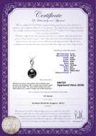 Product certificate: TAH-B-AAA-910-P-Vita