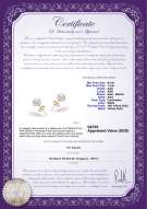 Product certificate: W-67-E