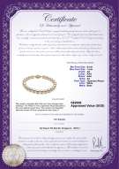 Product certificate: W-AA-657-B-Akoy