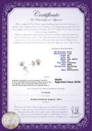 Product certificate: W-AA-67-E