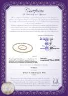 Product certificate: W-AA-67-S