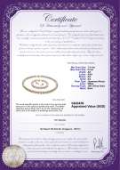 Product certificate: W-AA-758-S-Akoy